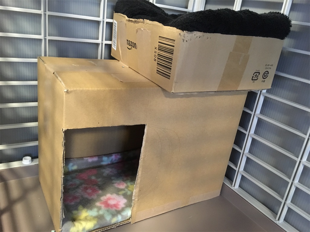 f:id:onionchang:20190802125001j:image f:id:onionchang:20190802125001j:image