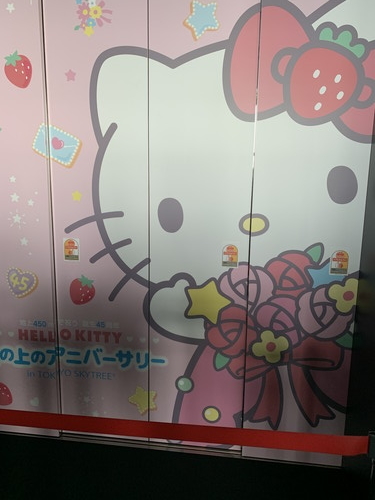f:id:oniwa_hanauta:20190804125841j:plain キティちゃん01
