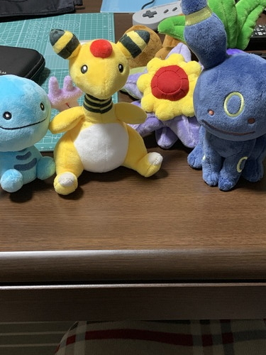 f:id:oniwa_hanauta:20190804140603j:plain ポケモンぬいぐるみたち