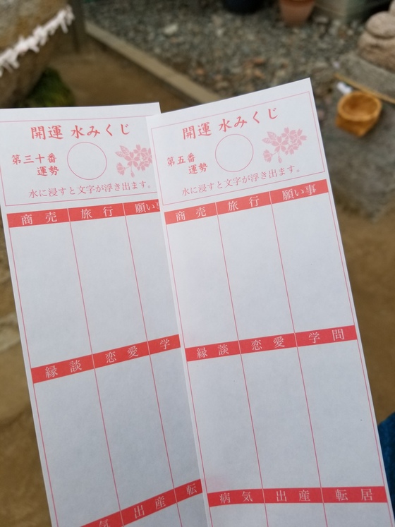 イメージ 5