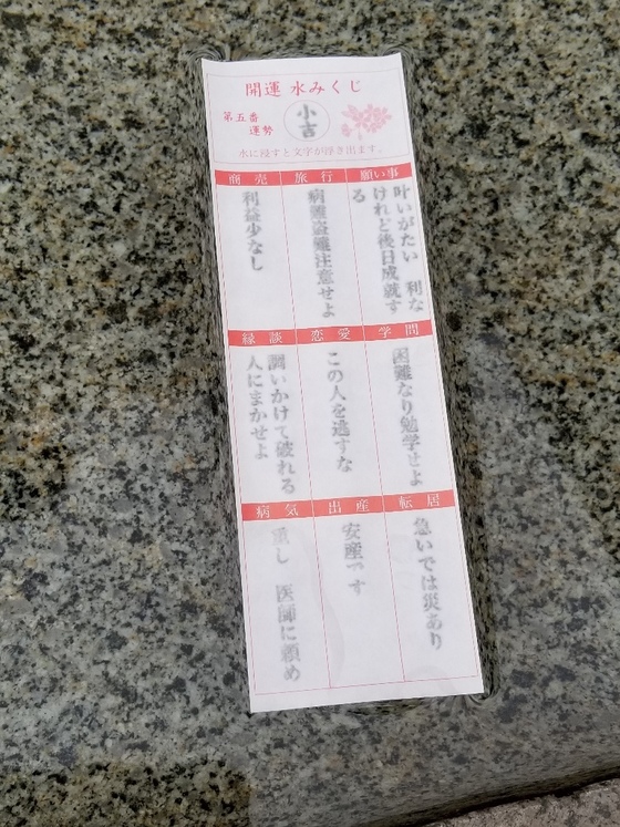 イメージ 6