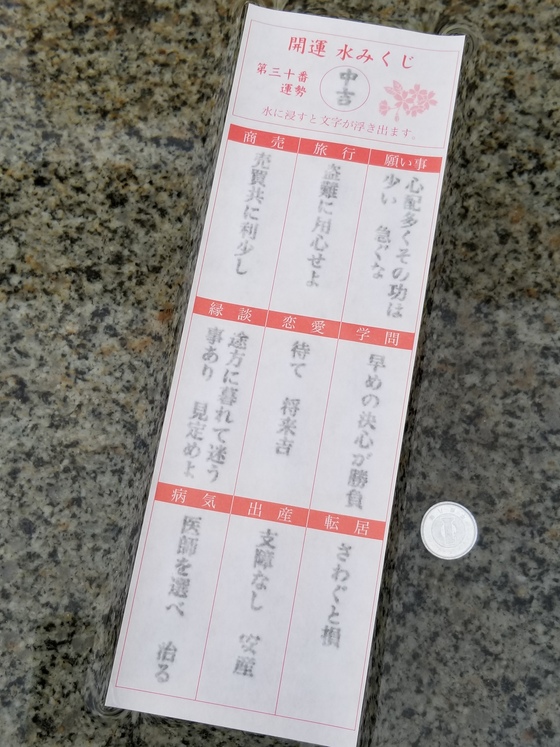 イメージ 7