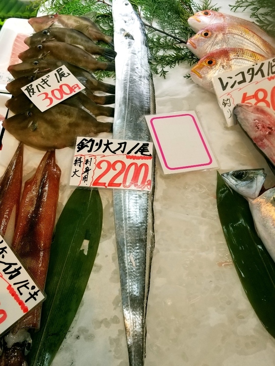 イメージ 9