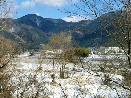 イメージ 2