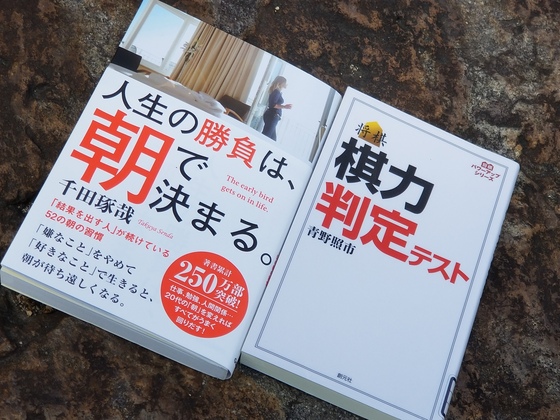 イメージ 8
