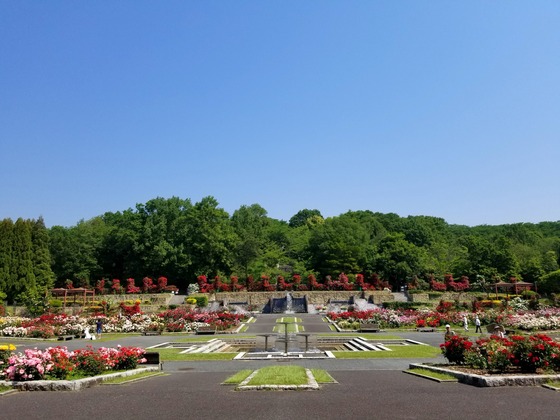 イメージ 2