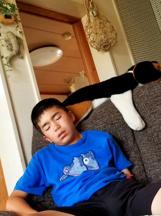 イメージ 13