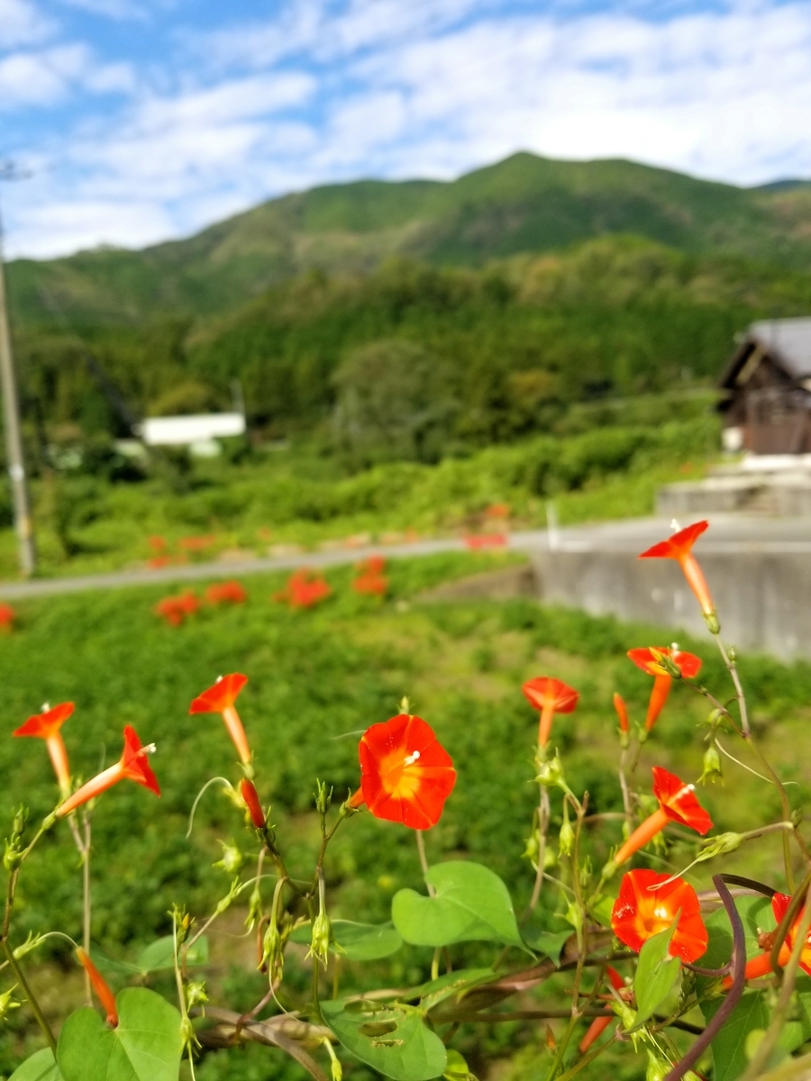f:id:oniyome-okan:20190930160145j:plain