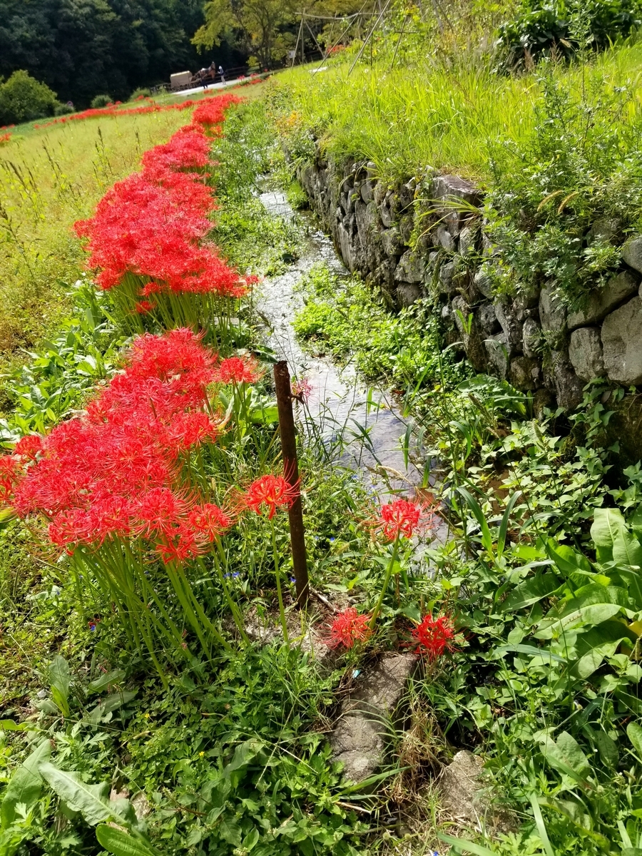 f:id:oniyome-okan:20190930160442j:plain
