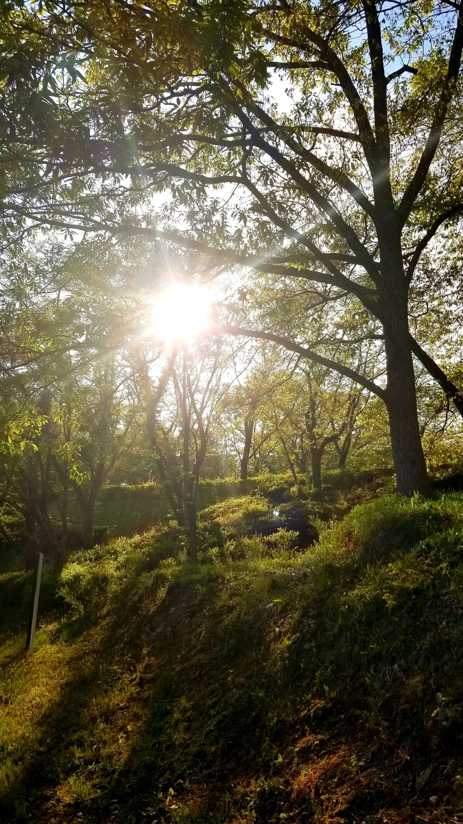 f:id:oniyome-okan:20200425071105j:plain