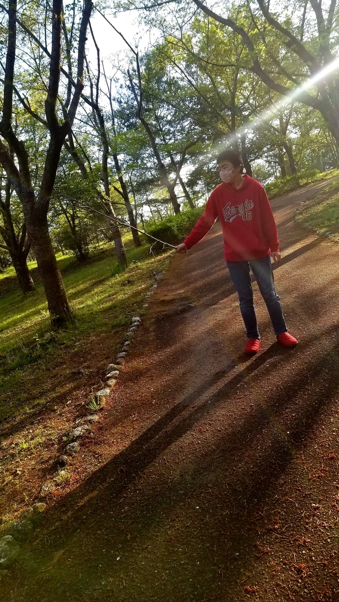 f:id:oniyome-okan:20200425071728j:plain