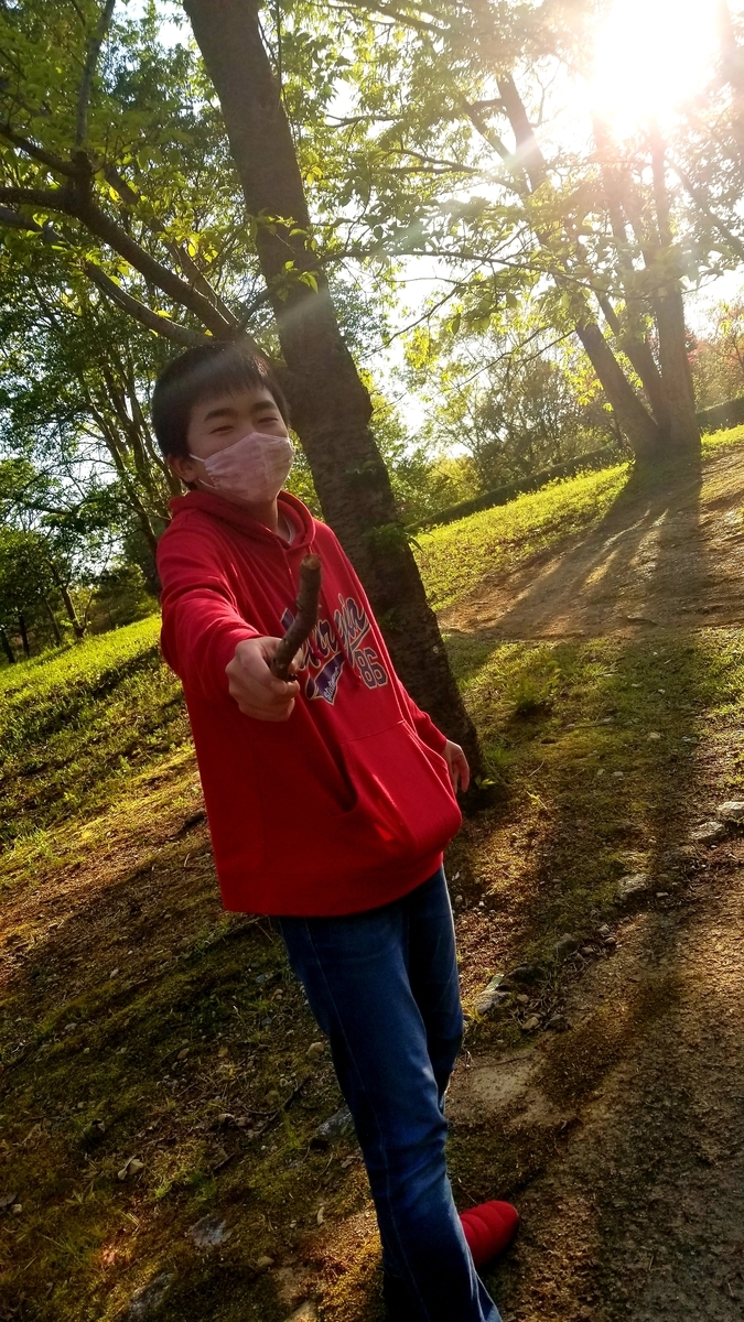 f:id:oniyome-okan:20200425071932j:plain