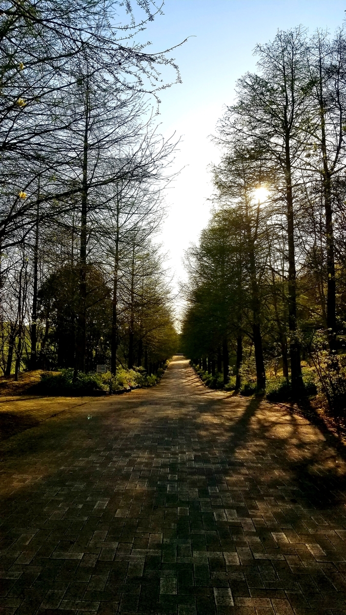 f:id:oniyome-okan:20200425072313j:plain