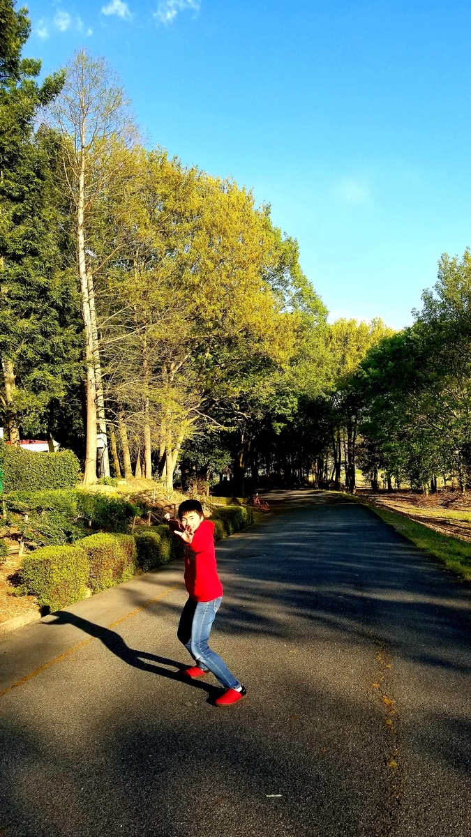 f:id:oniyome-okan:20200425072547j:plain