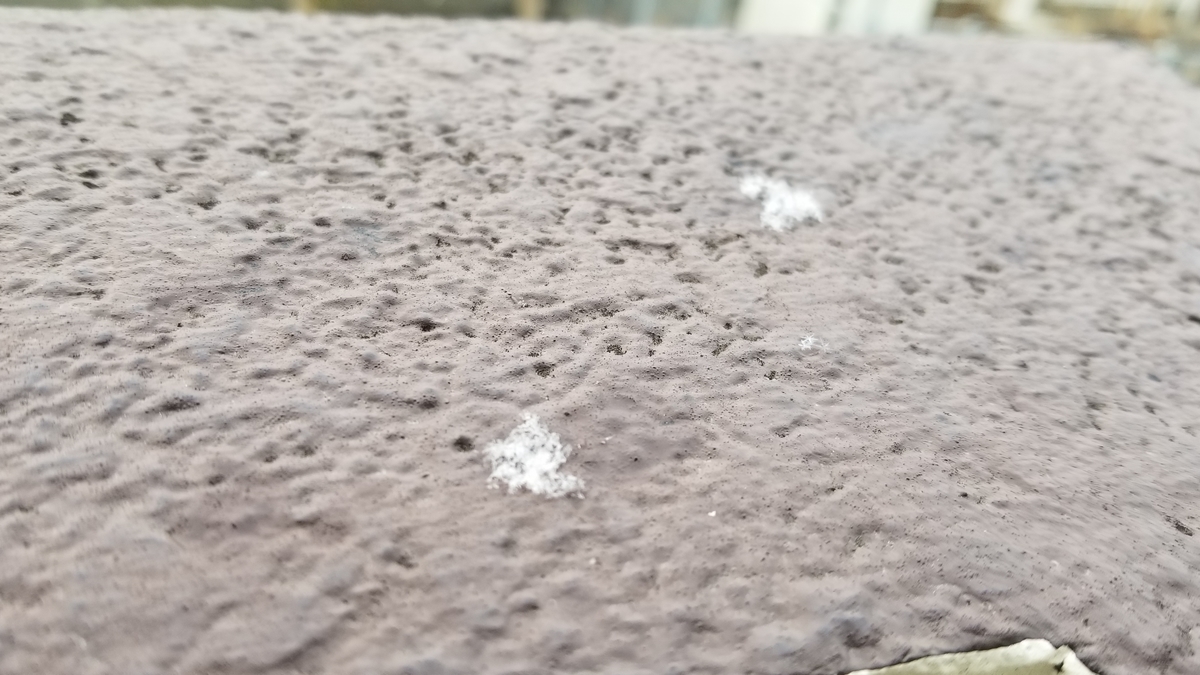 f:id:oniyome-okan:20210204095543j:plain