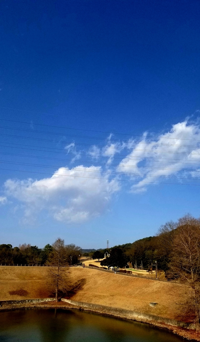 f:id:oniyome-okan:20210204105245j:plain