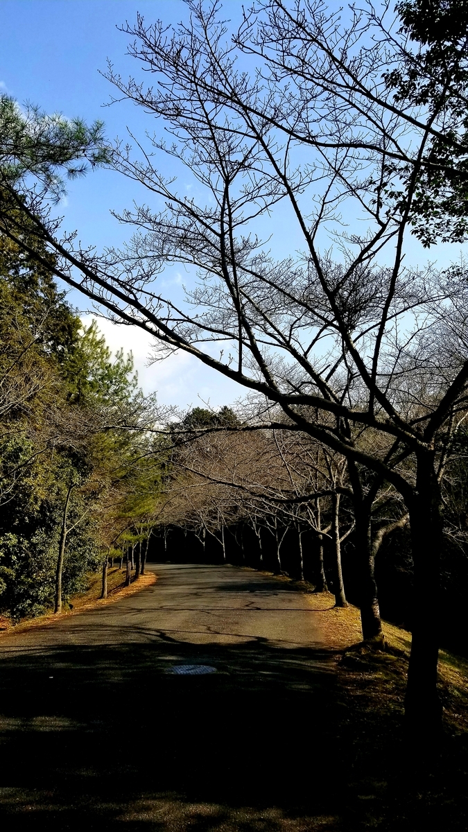 f:id:oniyome-okan:20210204105345j:plain