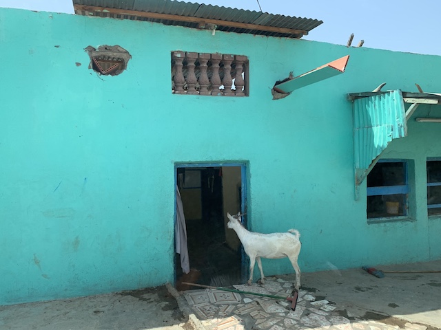 f:id:onkumari:20190904162515j:plain f:id:onkumari:20190904162515j:plain