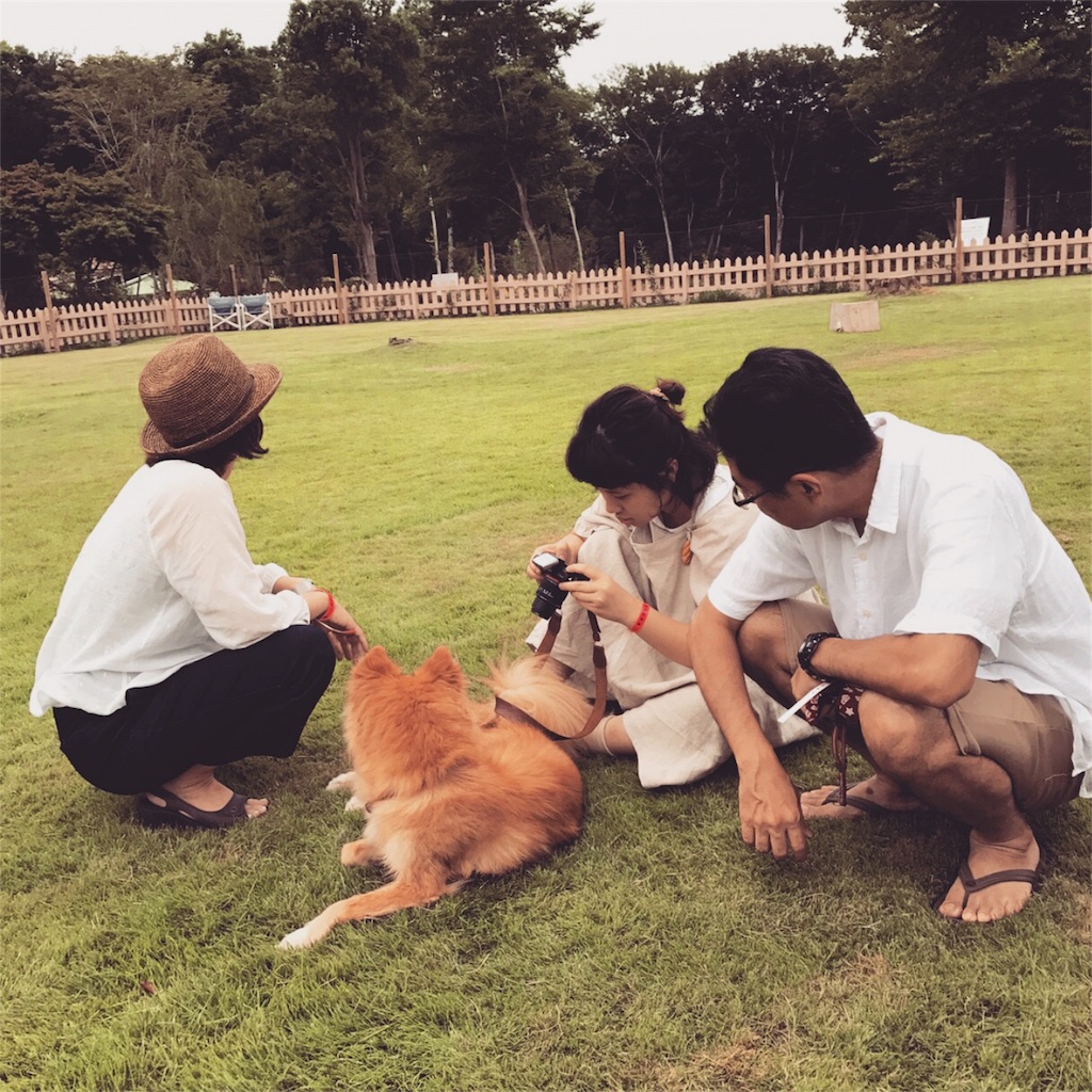 f:id:onlyui63:20180225232336j:image