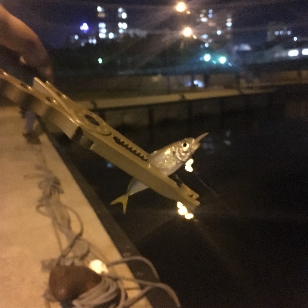 f:id:onmori1023:20181006131500j:image