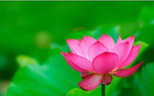f:id:onmy:20170814083912j:image:w350 f:id:onmy:20170814083912j:image:w350