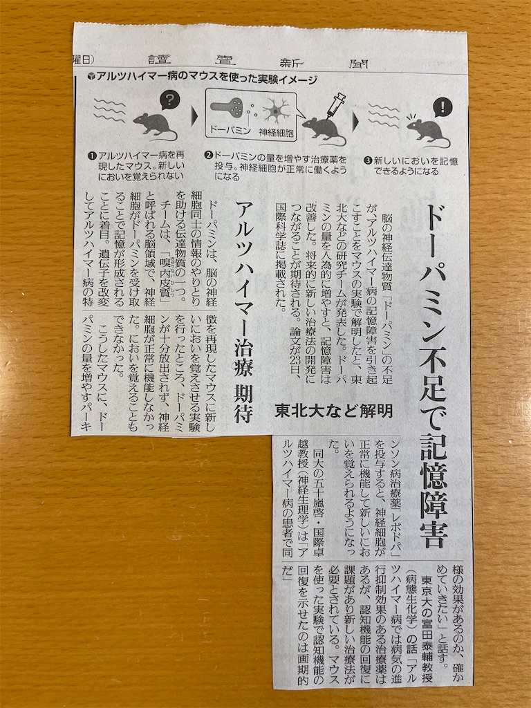 f:id:onmyojix:20260430132849j:image