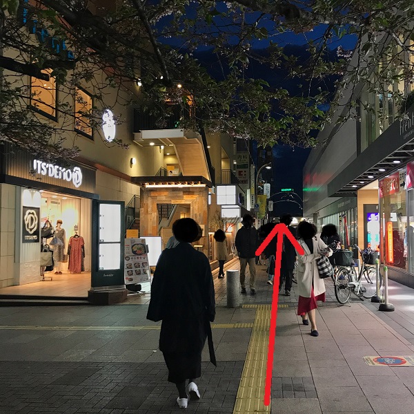 f:id:onna_jiro:20190418105608j:plain f:id:onna_jiro:20190418105608j:plain