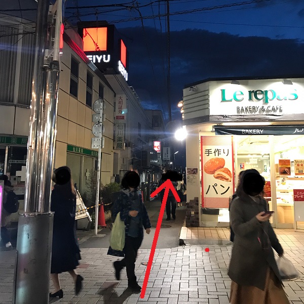 f:id:onna_jiro:20190418110303j:plain f:id:onna_jiro:20190418110303j:plain