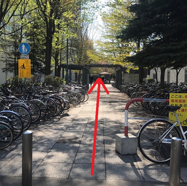 f:id:onna_jiro:20190506121436j:plain f:id:onna_jiro:20190506121436j:plain