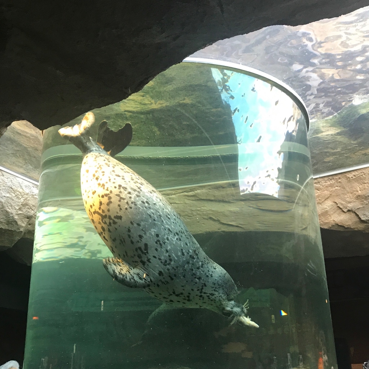 f:id:onna_jiro:20190507180832j:plain f:id:onna_jiro:20190507180832j:plain