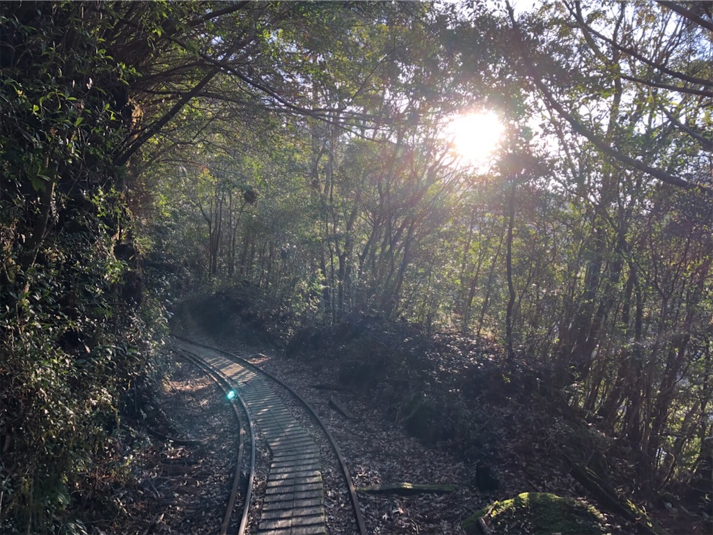 えのきの山って知ってる？ はさの毎日🌱