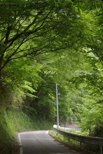 f:id:onoa:20110605112756j:image