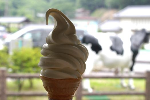 f:id:onoa:20110605125733j:image