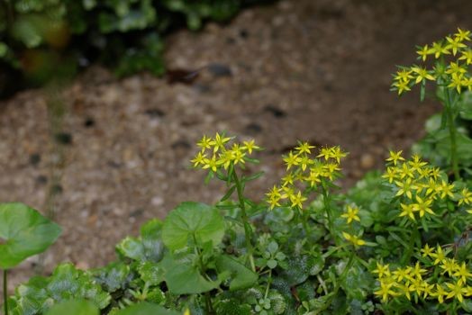 f:id:onoa:20110605142649j:image