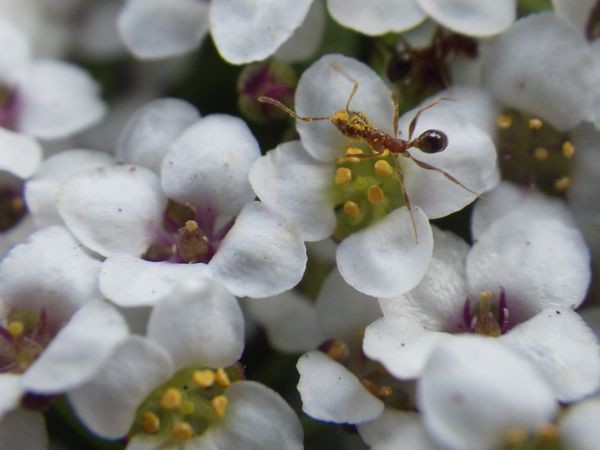 f:id:onoa:20120501091102j:image