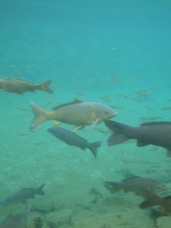 f:id:onoa:20120512075714j:image f:id:onoa:20120512075714j:image