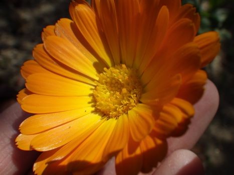 f:id:onoa:20120512131343j:image f:id:onoa:20120512131343j:image