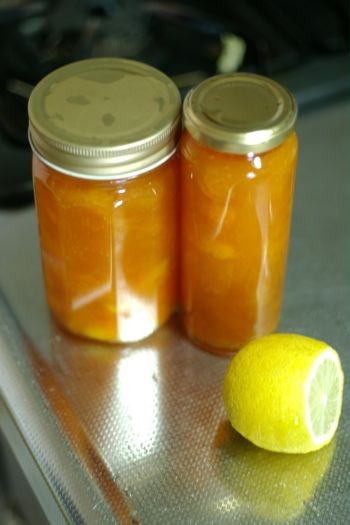 f:id:onoa:20120719162150j:image