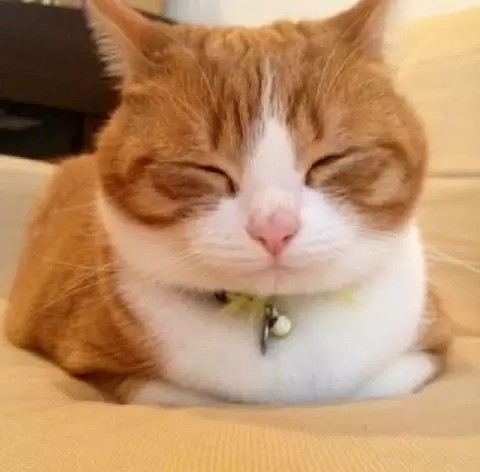 f:id:onoayumudesu:20201109150726j:image