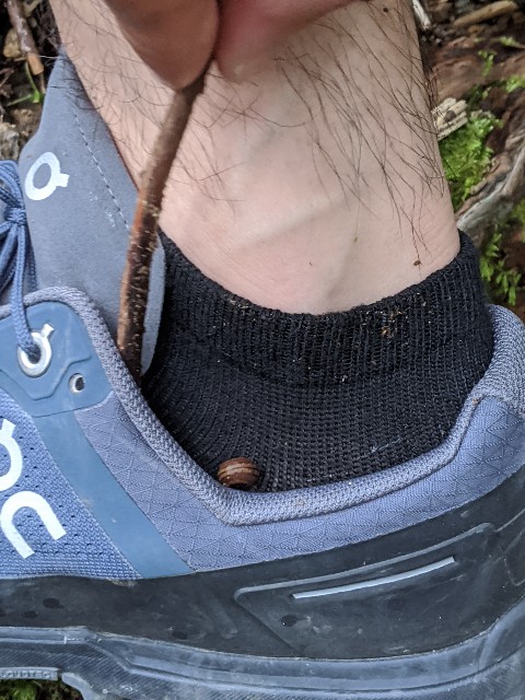 f:id:onobori_z:20200802125043j:image