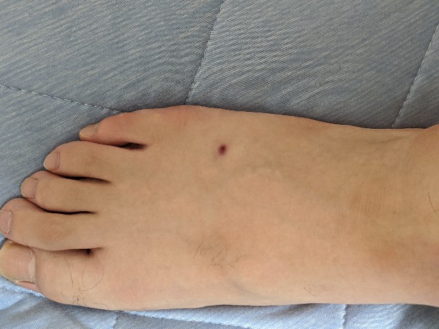 f:id:onobori_z:20200802125452j:image