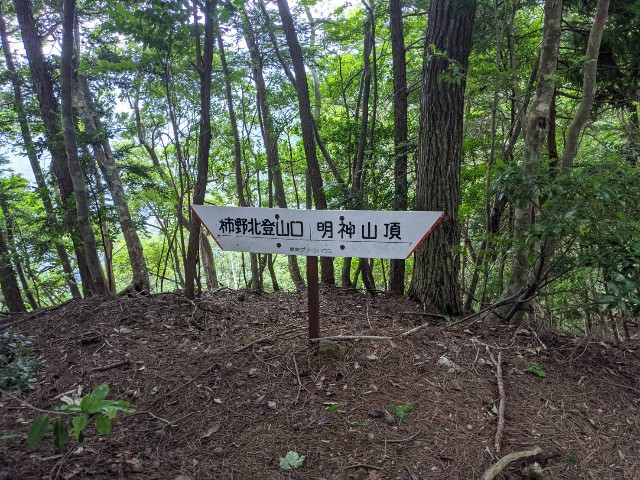 f:id:onobori_z:20200802131845j:image