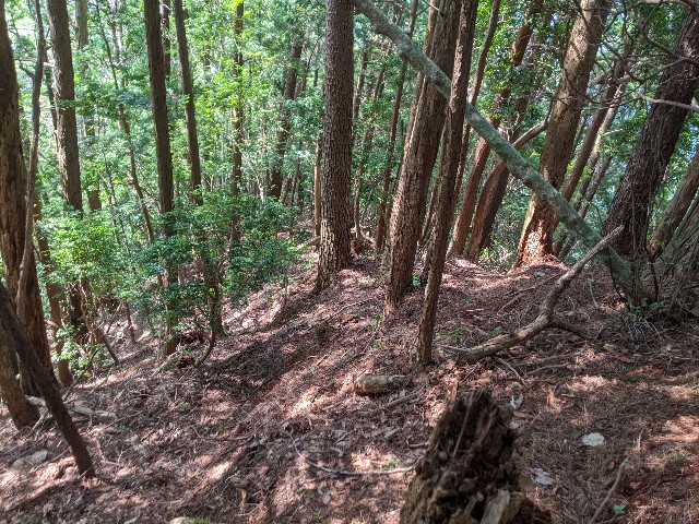 f:id:onobori_z:20200802133320j:image