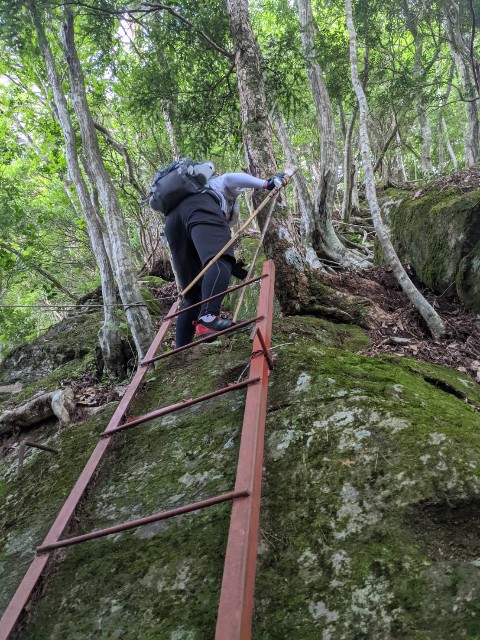 f:id:onobori_z:20200802133425j:image