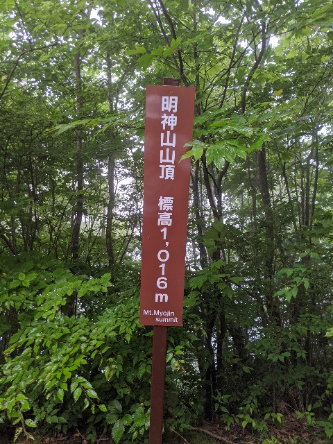 f:id:onobori_z:20200802133710j:image