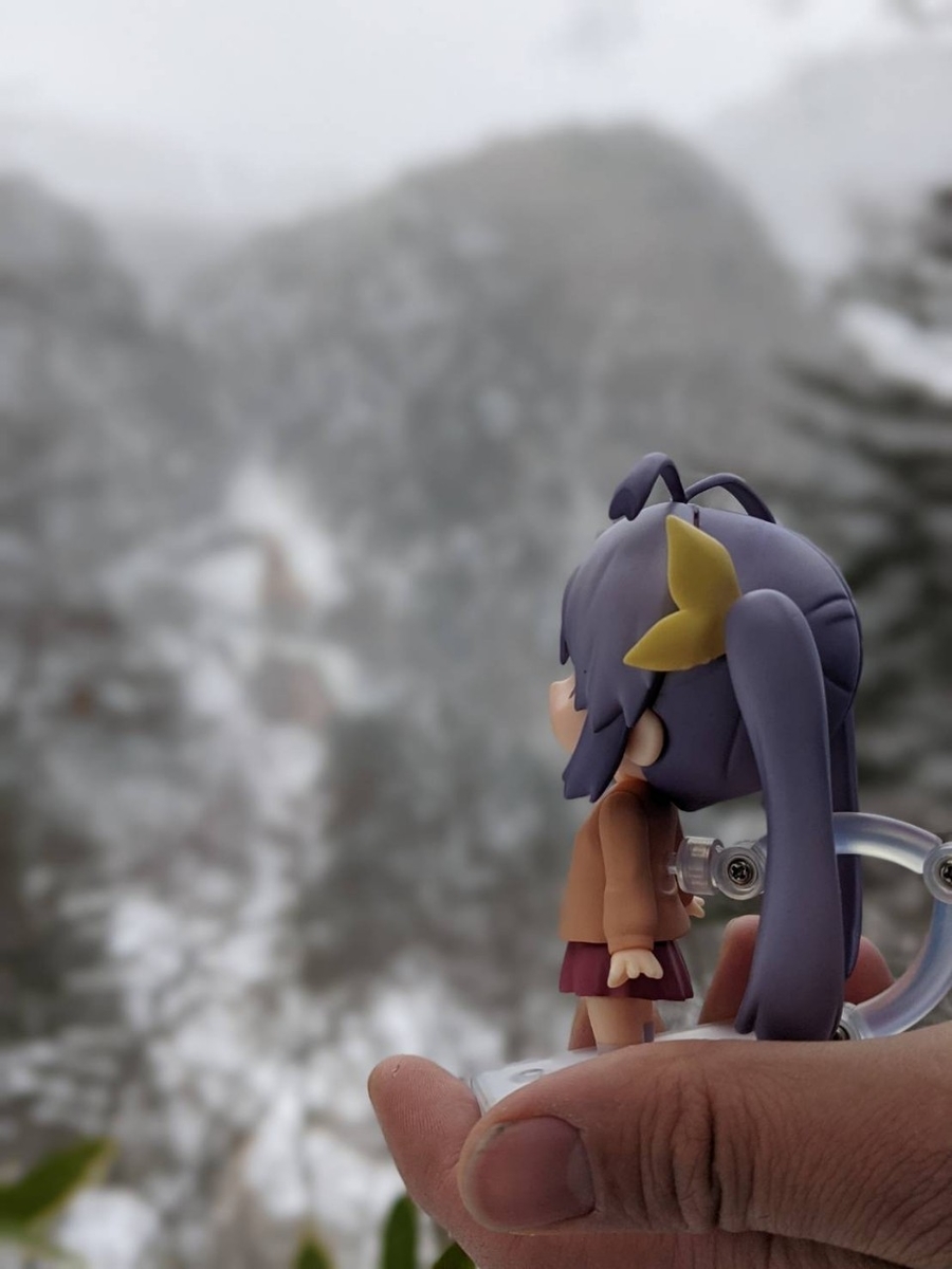 f:id:onobori_z:20201227104215j:plain