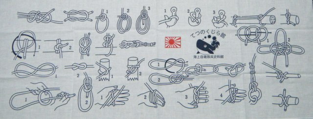 イメージ 6