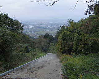 イメージ 5