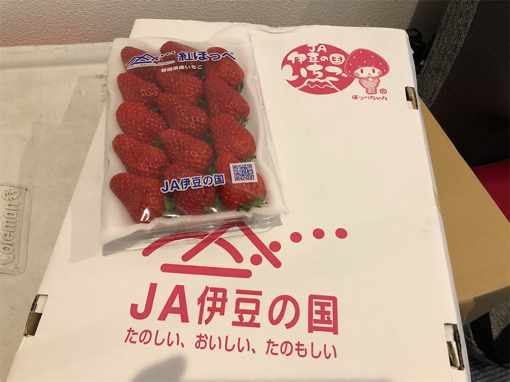 f:id:onoderider:20190225205912j:image