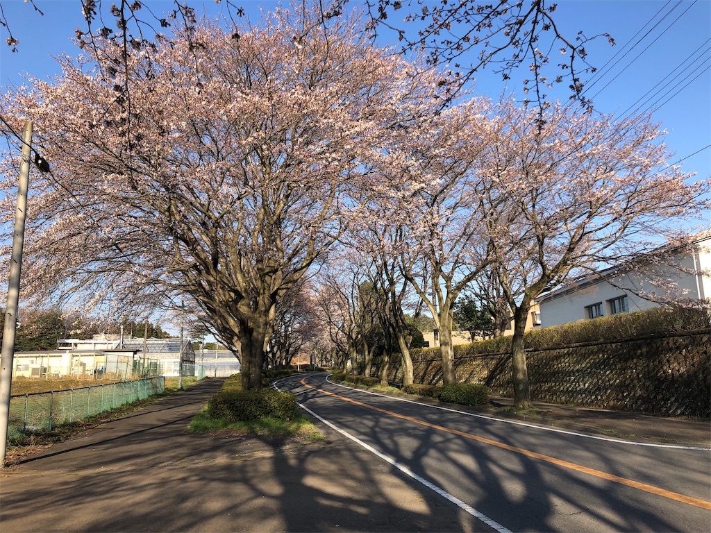 f:id:onoderider:20190405223857j:image